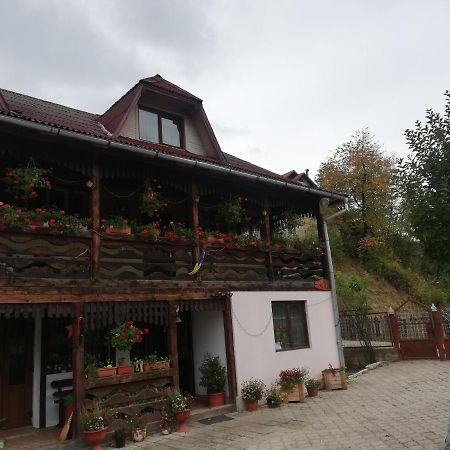 ホテル Casa Cozorici サドバ エクステリア 写真