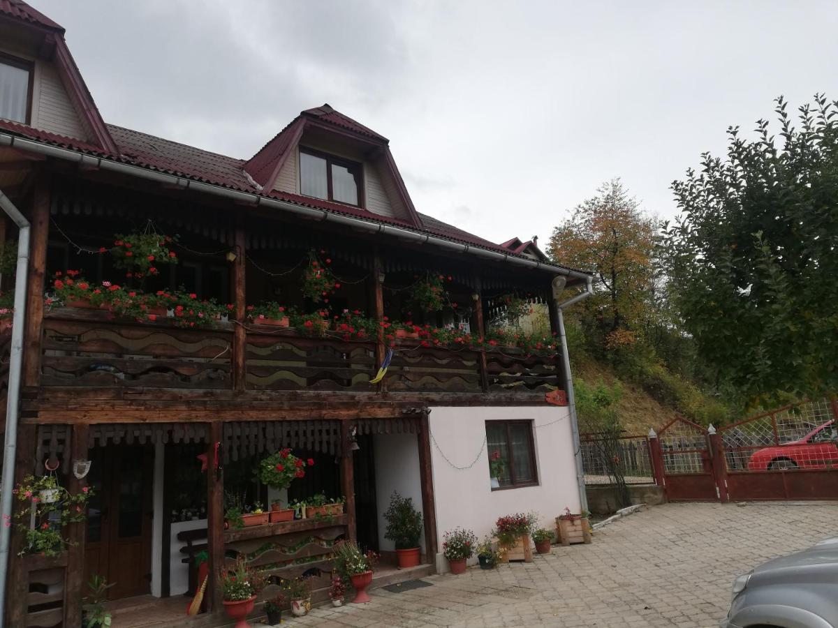 ホテル Casa Cozorici サドバ エクステリア 写真