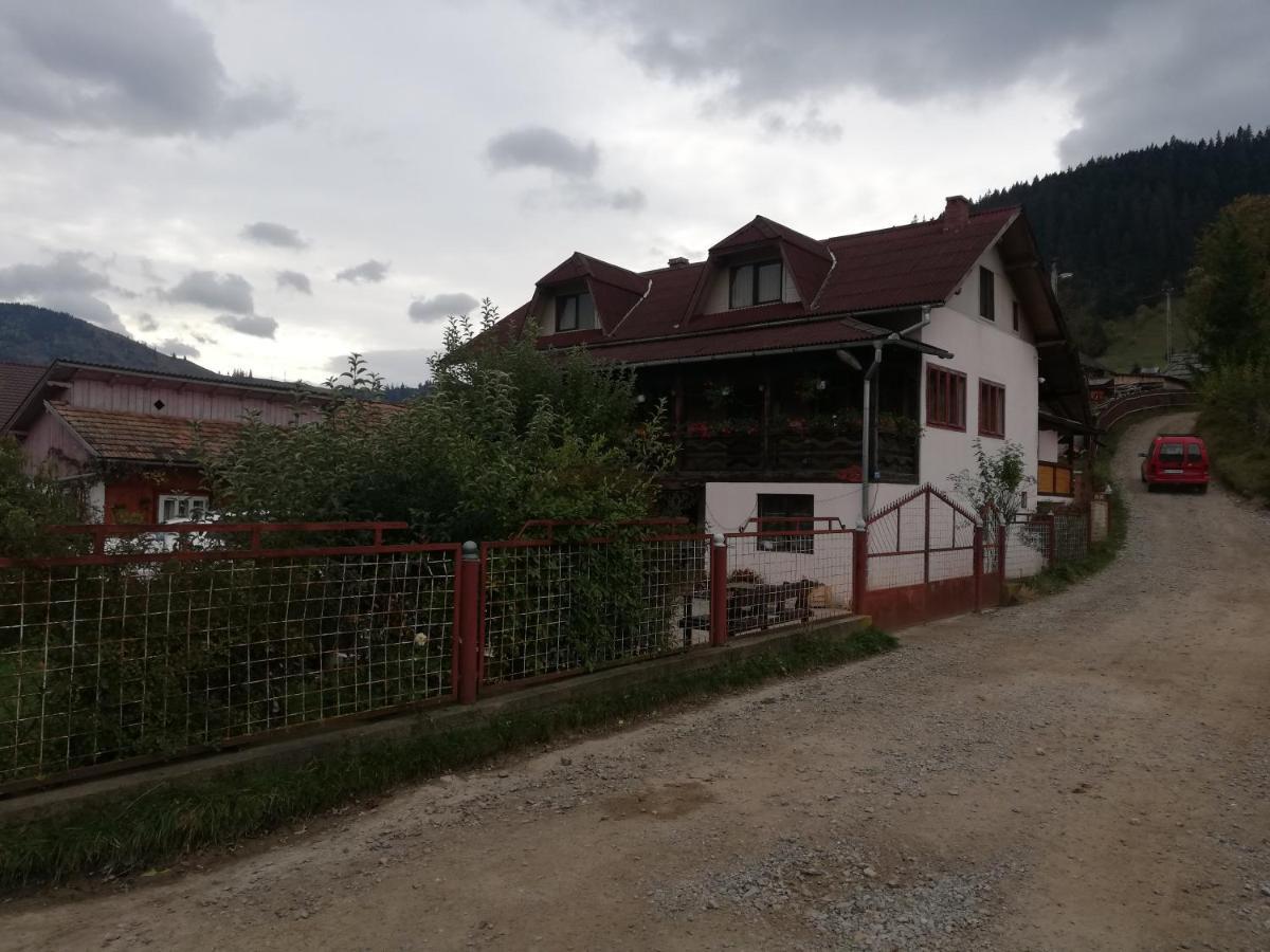 ホテル Casa Cozorici サドバ エクステリア 写真